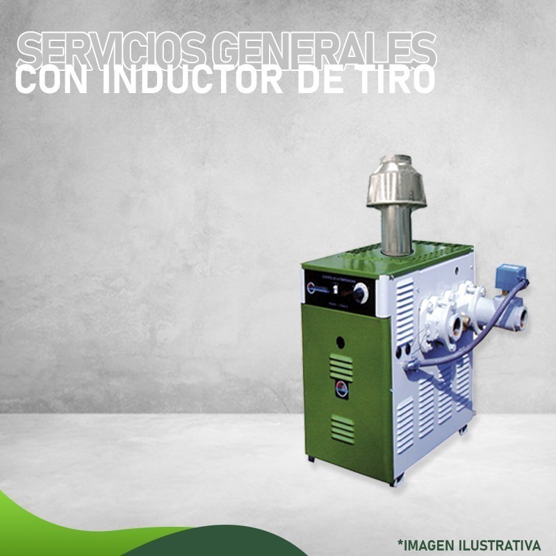 Calentador MMS-200 EI-D GAS LP ALTURA MAYOR A 800 MSNM